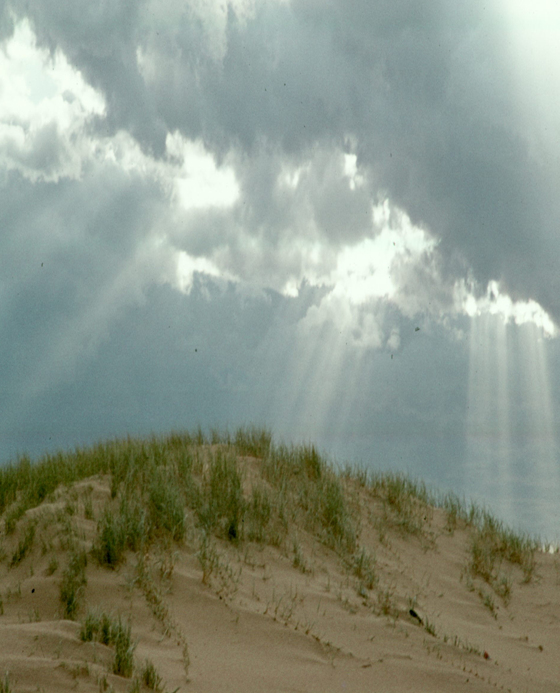 Albert Prins Knowledge Portal